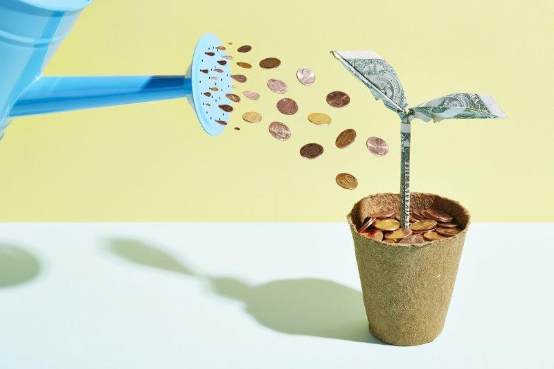 watering plant with pennies